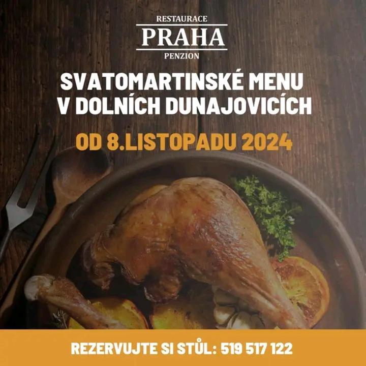 Homestay Familly Apartmens Dolni Dunajovice